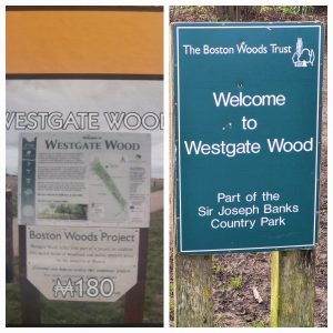 Westgate Wood